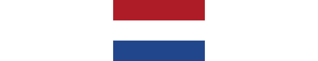 All Dutch All Dutch